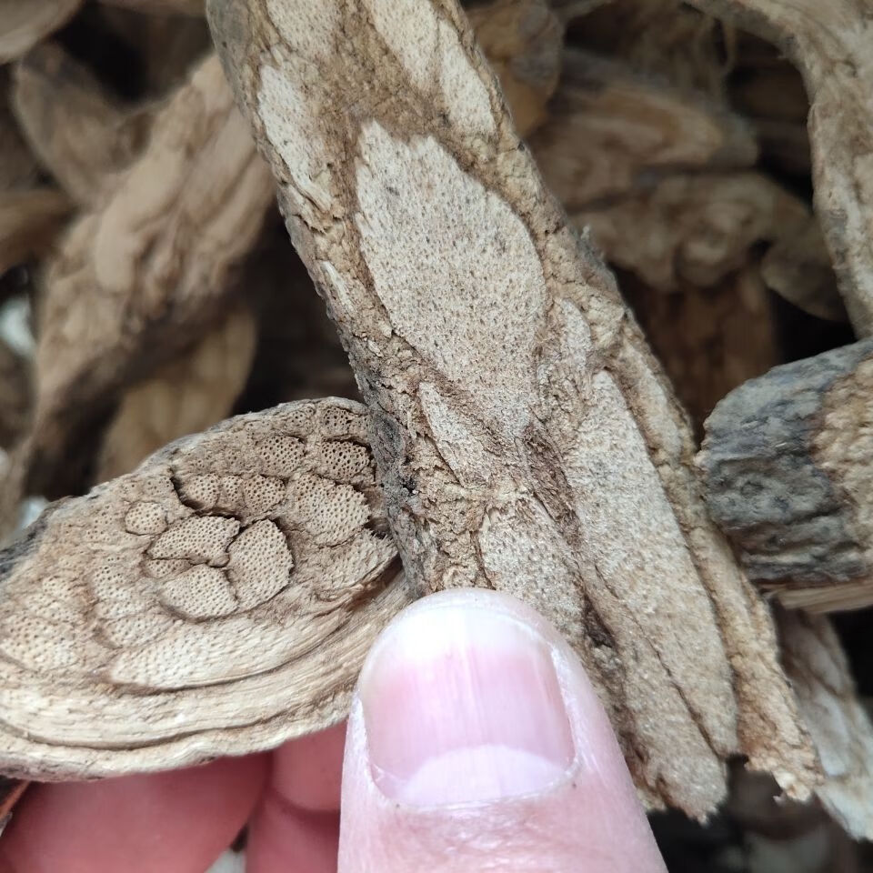 中药材 雾水葛 500克 1000克 雾水葛【图片 价格 品牌 报价】-京东