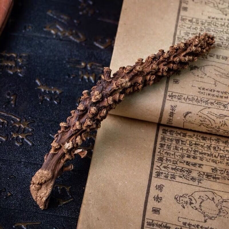 野生虎鞭草 硬茎草 云南苗药泡酒料500克-100g子孙草 虎鞭草 虎鞭草 2