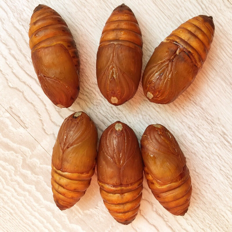 蚕蛹小伙东北特产野生柞蚕蛹特选大黄蚕蛹500g2斤茧蛹【图片 价格