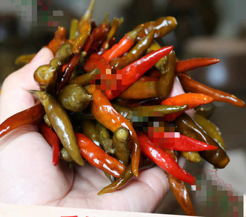 土坛陈泡酱色泡椒老坛母水泡辣椒紫色朝天椒四川泡菜重庆泡海椒酱色