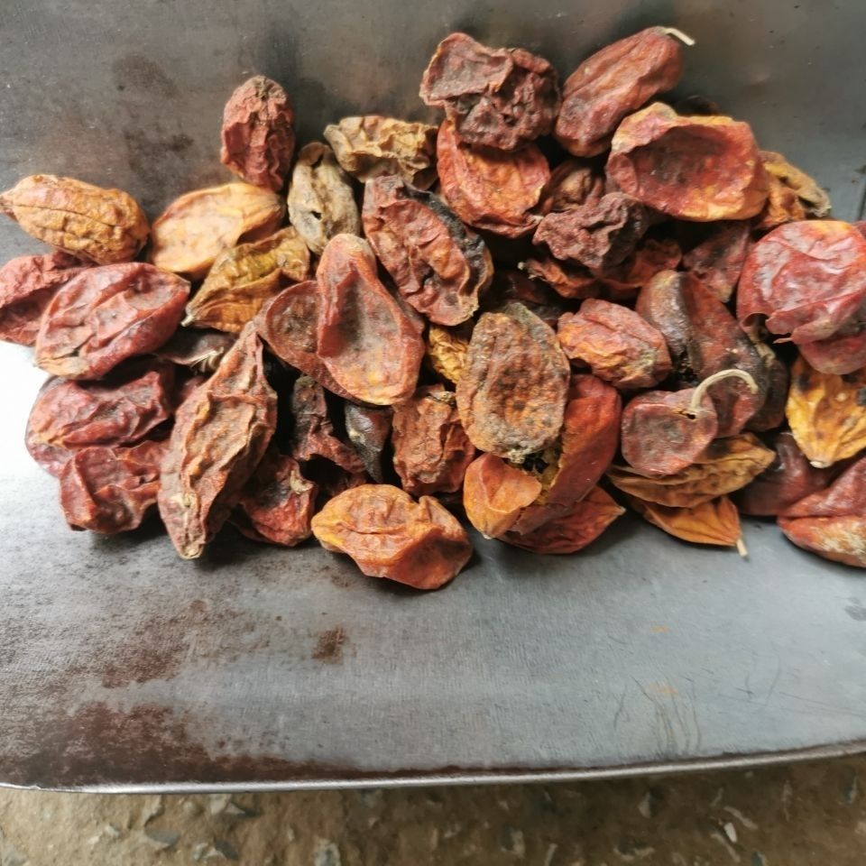 赤包子赤雹子赤包野生药材山屎瓜250克