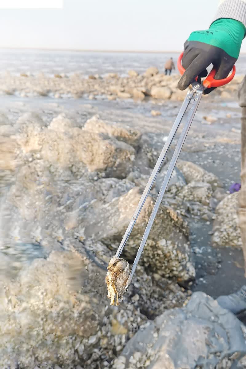 帮培 赶海神器抽虾器吸虾筒赶海工具大全赶海神器装备套装海肠抽子皮