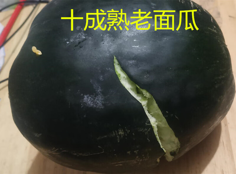 春光岛山东老面瓜黄皮花皮面瓜黑皮面瓜香瓜老年人低糖水果采摘顺丰