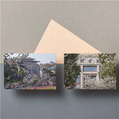 然修 名校明信片武汉大学明信片武大明信片武大樱花季j 武汉大学金属