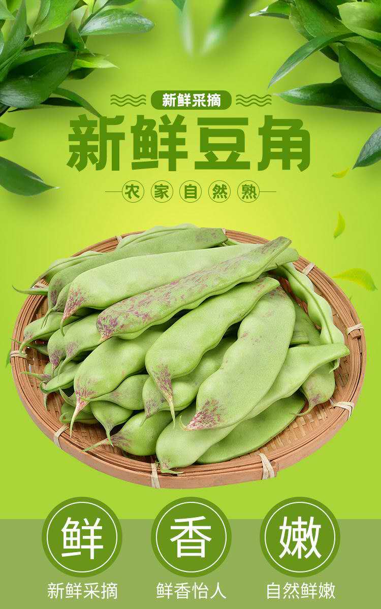东北油豆角新鲜5斤九月青豆角一点红油豆角农家自种蔬菜顺丰1000g