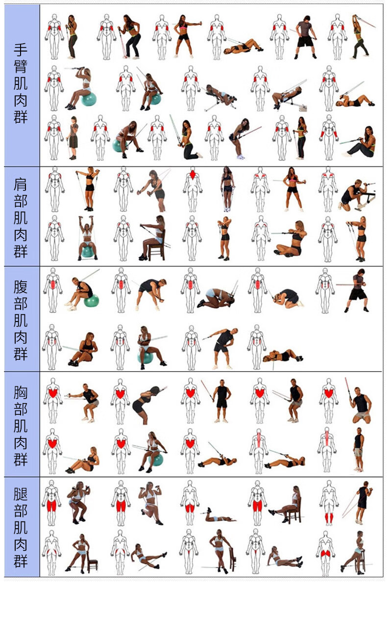 双才trx专业级弹力绳弹力带拉力绳健身器材家用男阻力