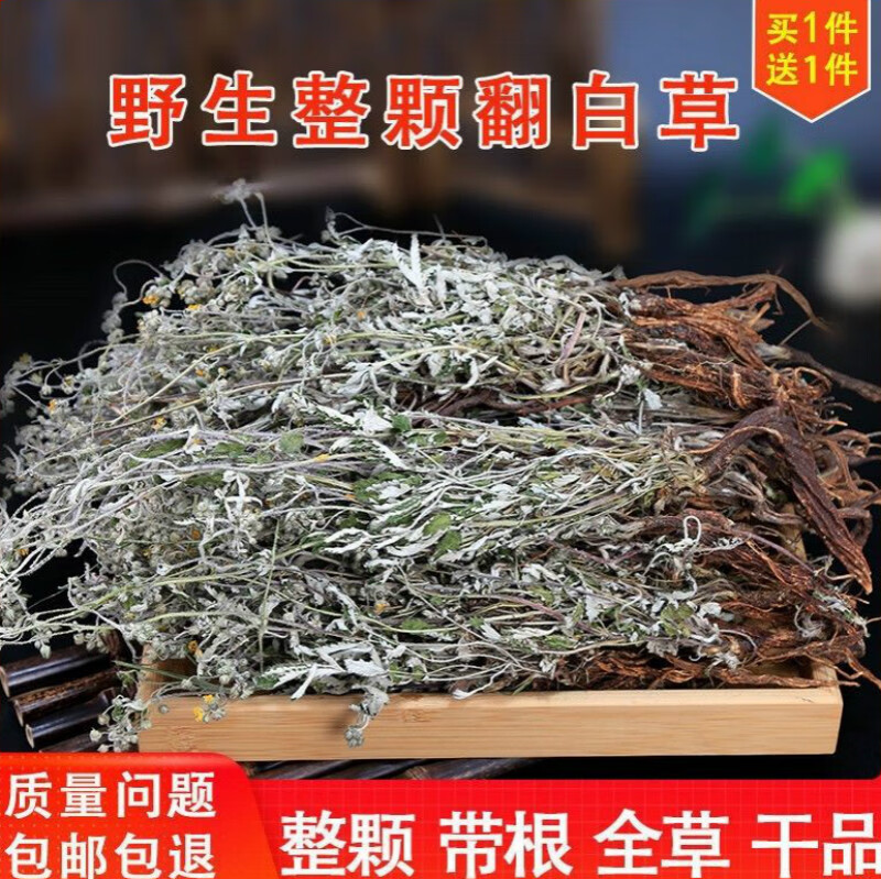 2021年新货翻白草降糖干品野生新鲜整颗带根中药材翻白草可泡翻白草