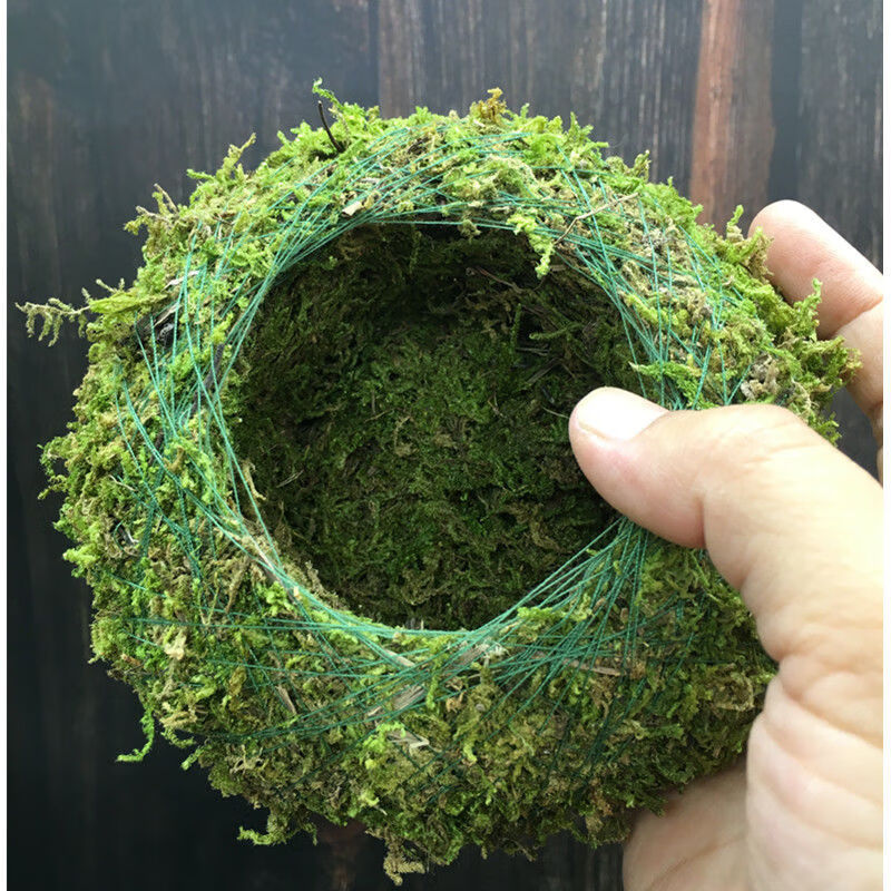创意花盆苔藓球花盆苔玉盆栽石斛盆微景观青苔盆保湿迷你拇指花盆15