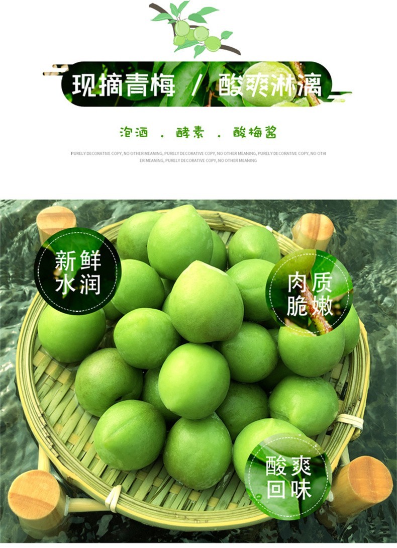 顺丰新鲜青梅果青梅鲜果福建诏安野生青梅子高山现摘酸脆青梅泡酒泡