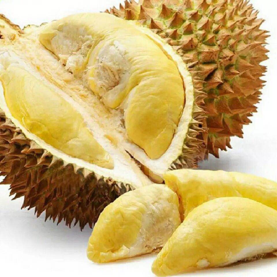 金枕头榴莲新鲜树上熟整个带壳榴莲水果现货 500g 树上熟榴莲 6-7斤