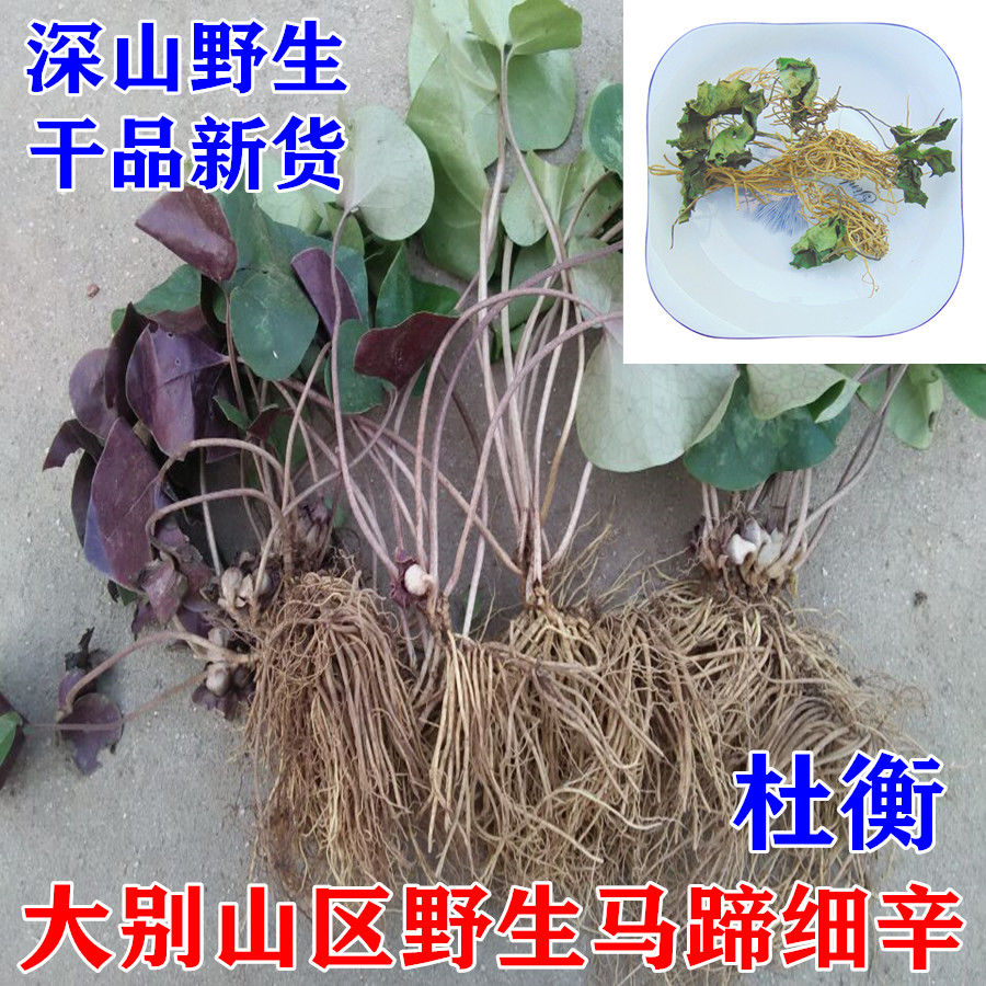 伟博大别山土细辛马蹄香马蹄细辛杜衡辽细辛250g500g干品500克