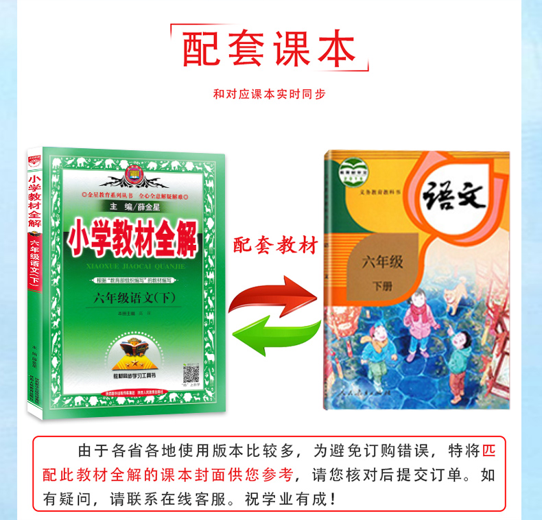 2020春用薛金星小学教材全解六年级下册语文人教版 六6年级下册语文全