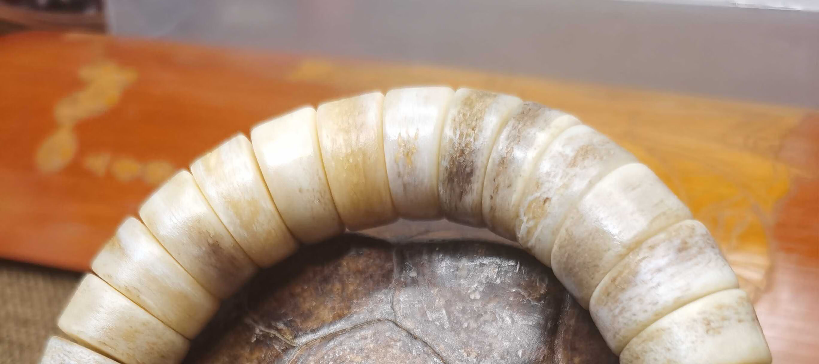 正宗高密度骆驼骨头手串佛珠骨灵西藏藏传嘎巴啦吧拉念珠未脱脂手链