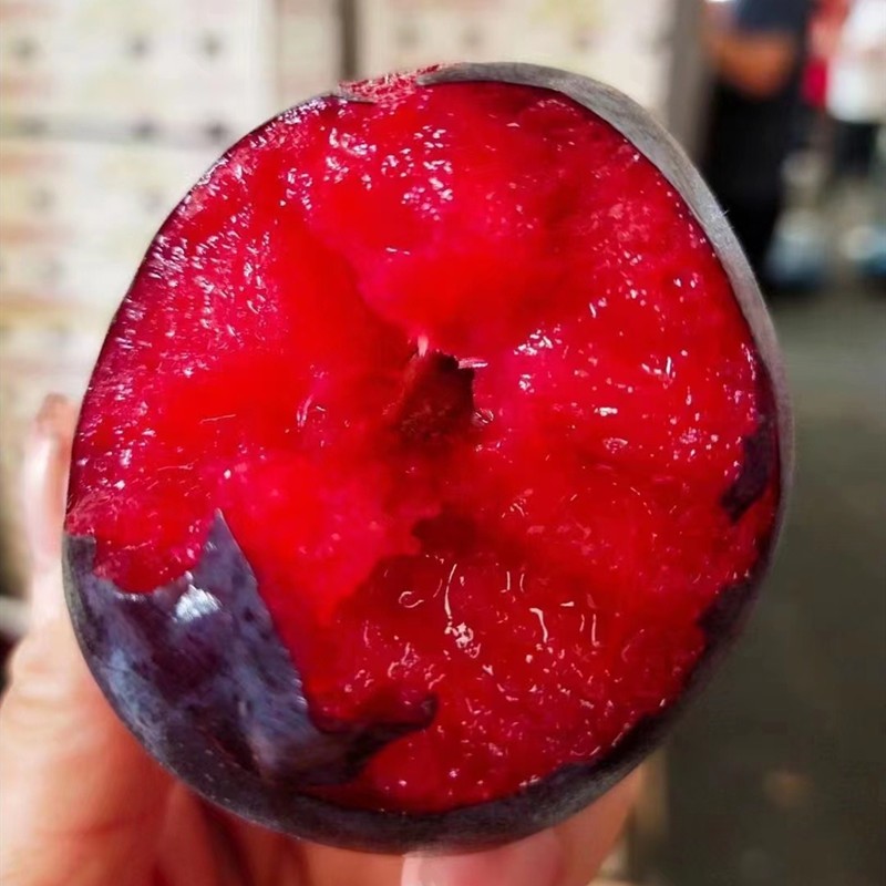 智利进口恐龙蛋李子夜玫瑰黑金刚情人李红布林新鲜孕妇水果半箱1216个