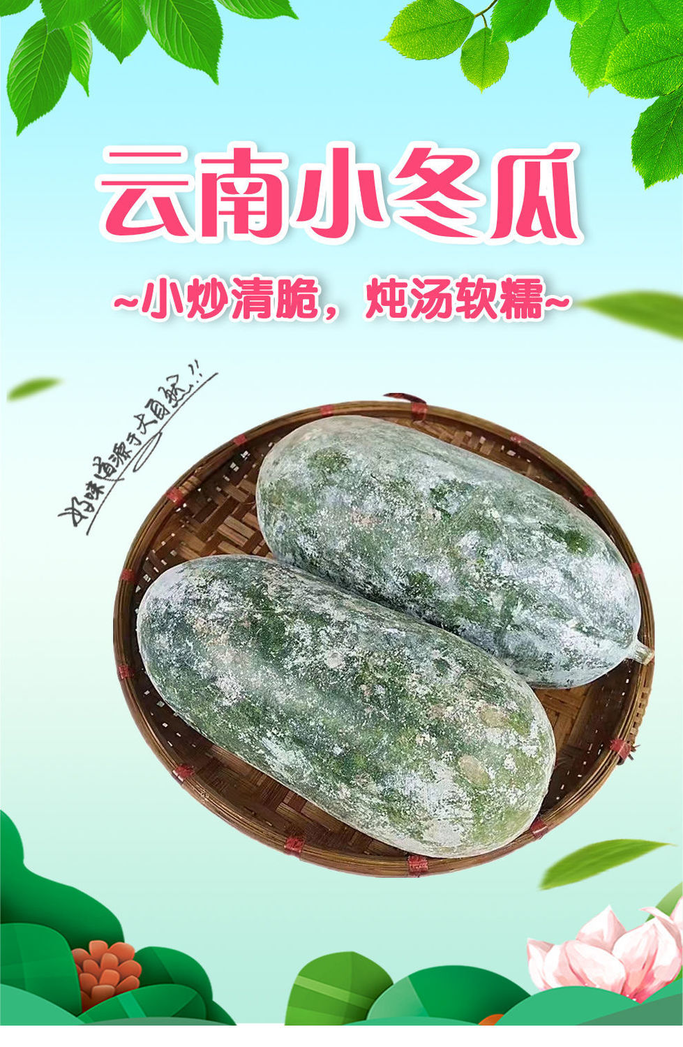 正宗云南新鲜小冬瓜小个迷你冬瓜当季蔬菜农家自种挂霜清甜毛节瓜45斤