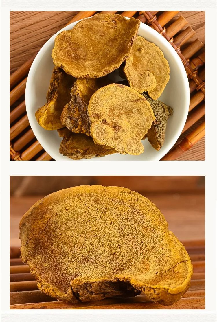 北京同仁堂原料西藏桑黄正宗桑树桑黄泡酒料整枝天然桑黄泡酒食药用菌