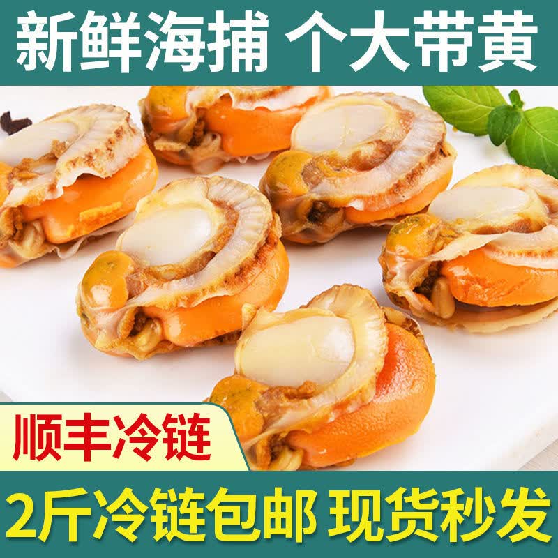 特大号扇贝肉裙边贝超大个海鲜水产去壳熟冻 现剥扇贝 1斤尝鲜装