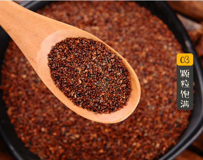 中药材种子岷县党参种子纯新党参子党参籽纯新货包发芽实体店发货