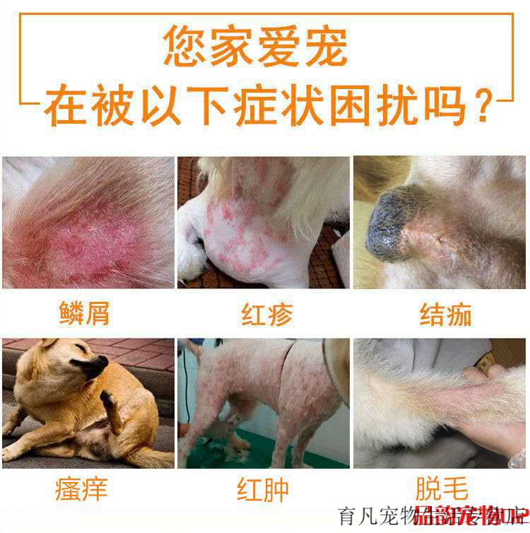宠物狗狗皮肤病专用药耳朵真菌感染螨虫皮炎瘙痒克星治疗喷剂用品