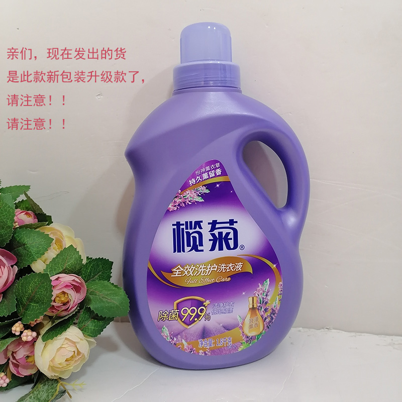 榄菊康涤洗衣液榄菊康涤洗衣液香味持久薰衣草香家用手机洗家庭装6瓶