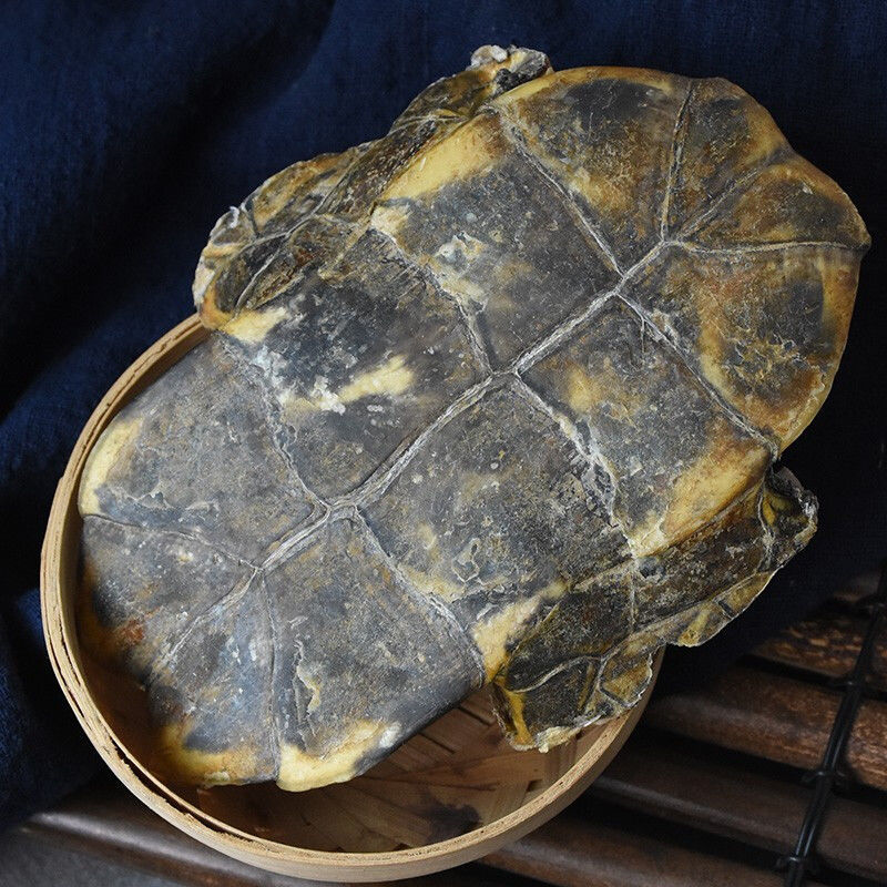 北京同仁堂原料【龟板旗舰店】中药材野生龟板粉龟龟壳乌龟壳旱龟板生