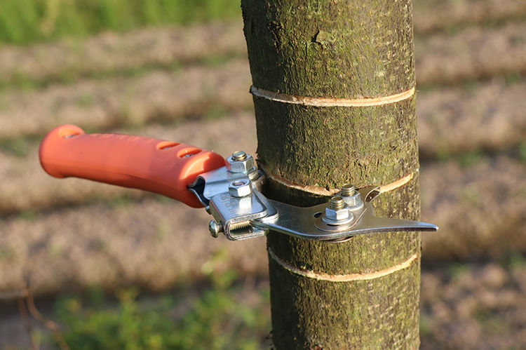削苹果机果树环割刀环剥器苹果树环剥刀枣树环切刀蜜柚橙可调节刮树皮
