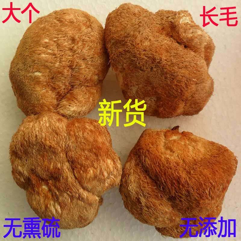 货特级野生长毛大个猴头菇干新鲜蘑菌养胃野生长毛大个猴头菇一斤2袋