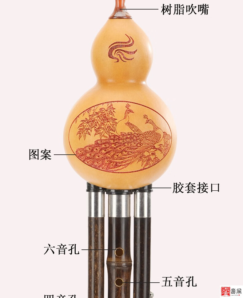 送礼优选孔雀河孔雀河葫芦丝初学专业c降b学生自学入门agfd云南紫竹5
