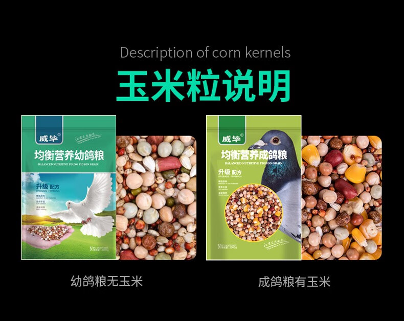 幼鸽粮鸽粮无玉米鸽子饲料白豌豆信鸽赛鸽种鸽营养粮食均衡营养幼鸽粮