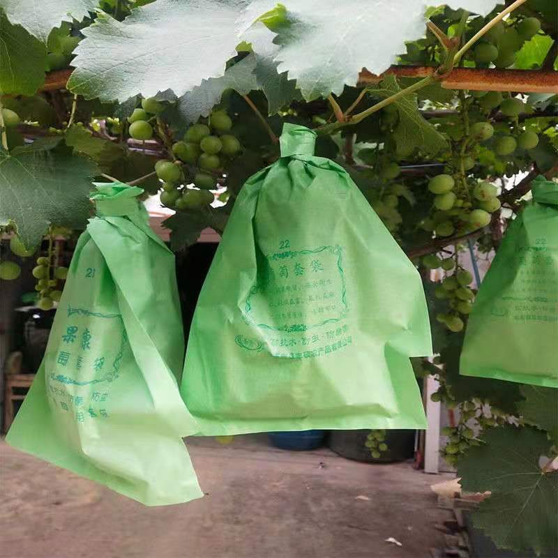 精选葡萄专用套袋露天葡萄袋子葡萄纸袋巨峰葡萄套袋防虫防鸟防雨1721