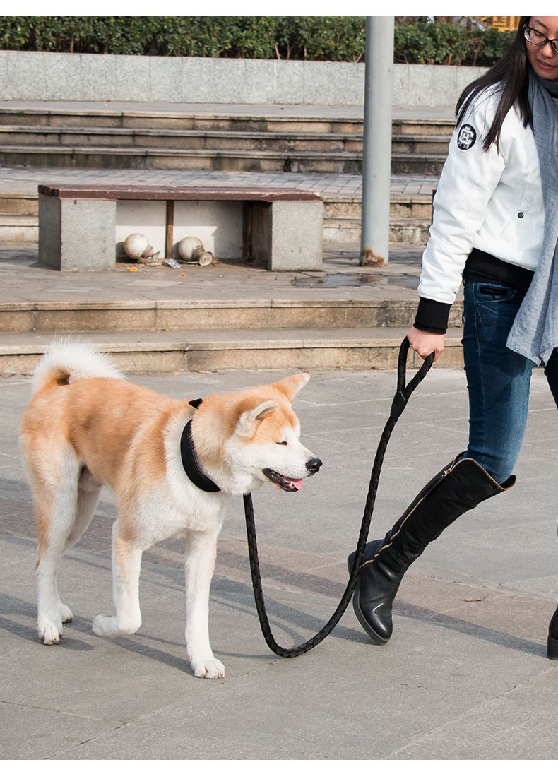 狗狗牵引绳遛狗绳狗链子项圈中型大型犬金毛柴犬拉布拉多宠物用品宠物