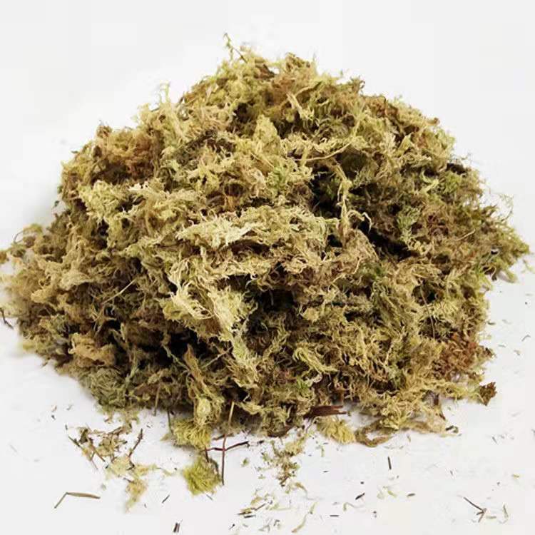 干水苔蝴蝶兰智利养兰花专用土多肉食虫植物水苔无菌营养土 包装干