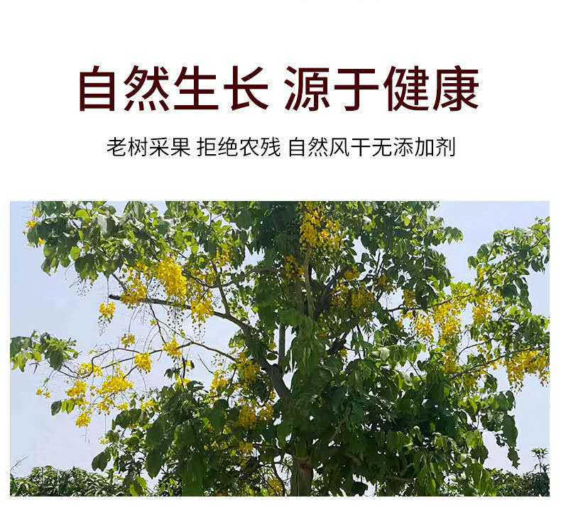 云南天然便秘果缅甸便秘果2021新货缅甸特级腊肠树果代客打粉便秘果粉