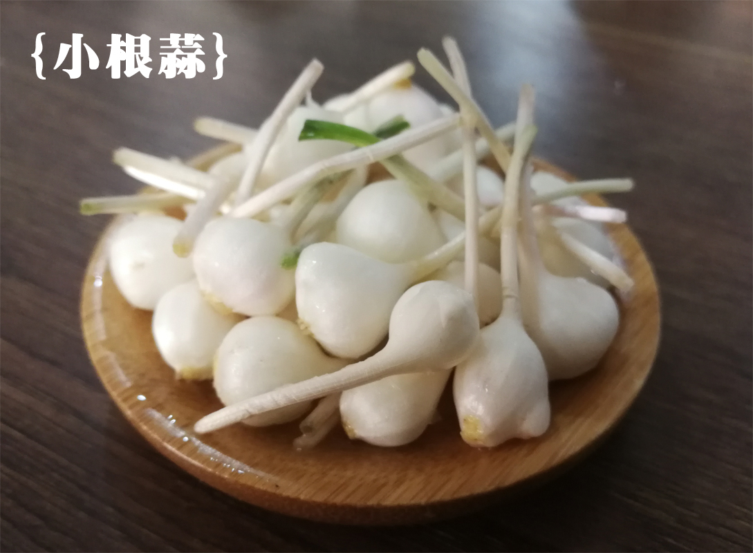 小根蒜 新鲜山野菜 大脑蹦 小根菜大脑瓜 1斤 图片 价格 品牌 报价