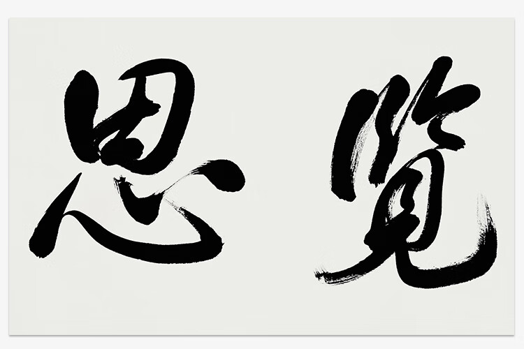 著名央视主持人白岩松手绘真迹毛笔书法博览精思客厅装饰画