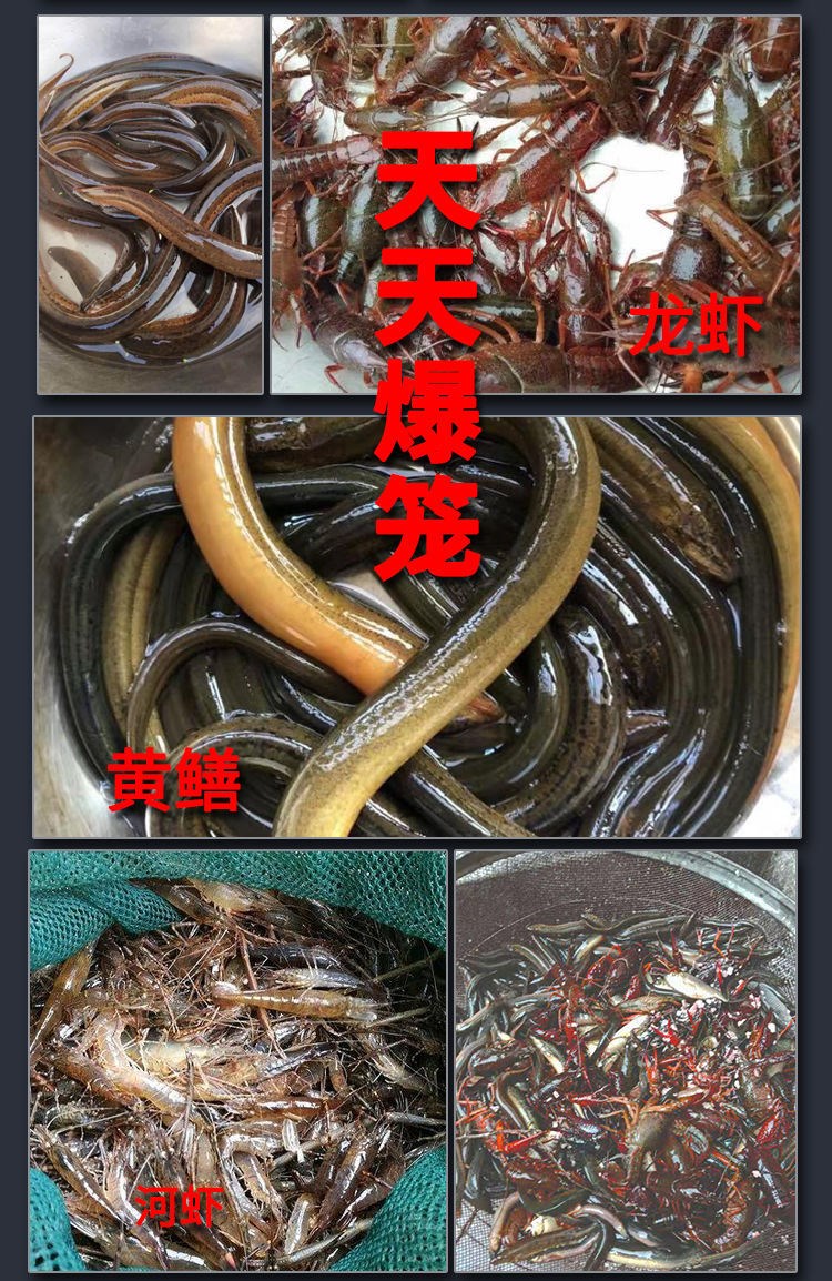 【轻松爆笼】鱼笼地网饵料黄鳝诱饵龙虾诱饵虾笼捕渔网爆笼甲鱼诱饵抓