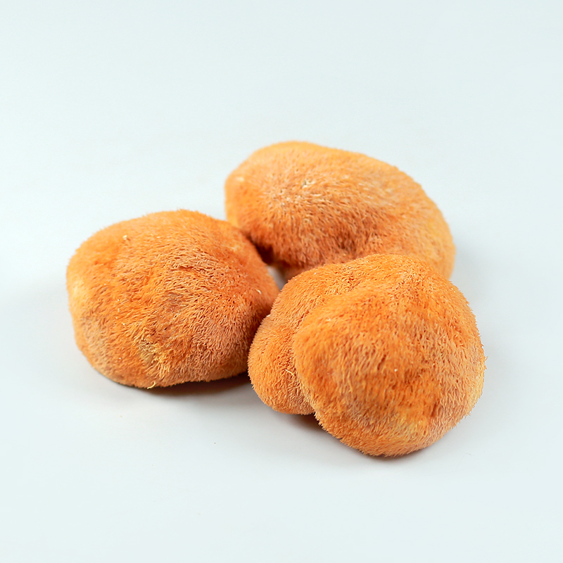 堂猴头菇新鲜干货特级古田猴头姑药用中药材刺猬菌菌菇山猴头菌蘑菇