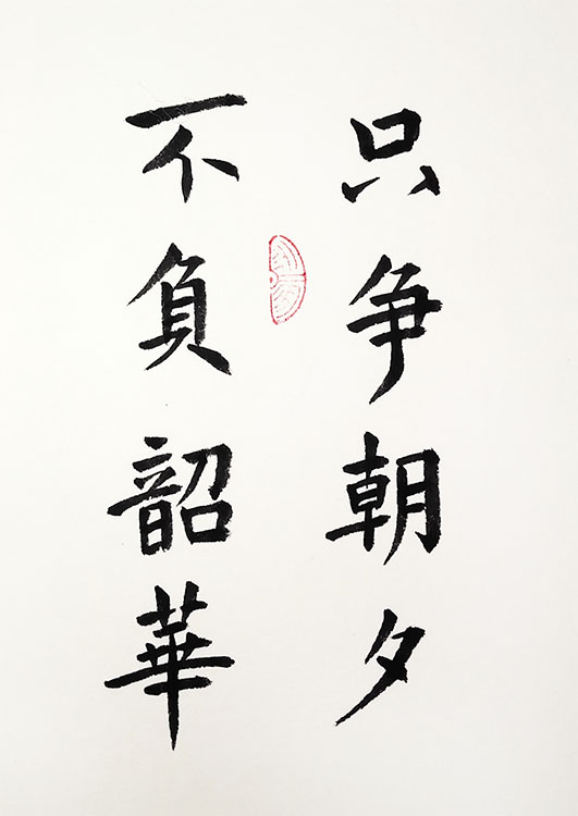 贺语寄语只争朝夕不负韶华书法作品手写真迹相框摆台字画挂画sn3441