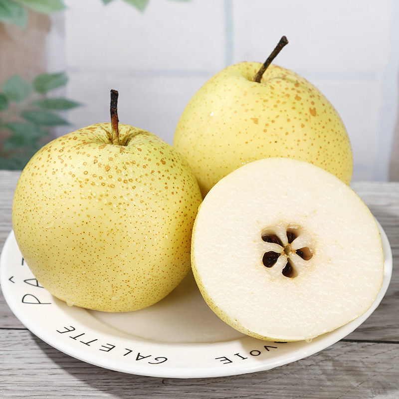 正宗雪梨河北雪花梨梨子批发10斤冰糖雪梨新鲜水果净重中大果5斤