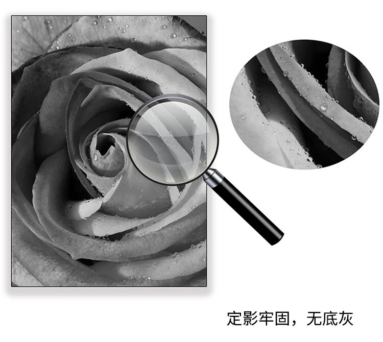 ec21e92a7802c859.jpg