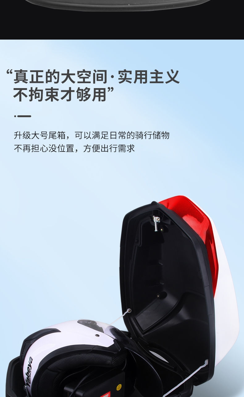 九号f90尾箱电动车改装c90大号后备箱摩托车通用后背箱 经典大号 安装