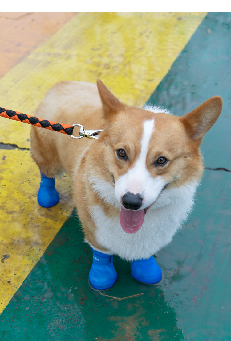 狗狗雨鞋柯基泰迪鞋子小型犬宠物鞋鞋套防脏防水不掉脚套软底四季