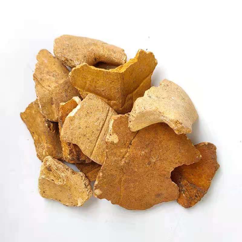 有仁堂龟板粉制龟板粉龟板下甲粉鳖甲乌龟板粉炙龟板粉鳖甲上下甲鱼壳