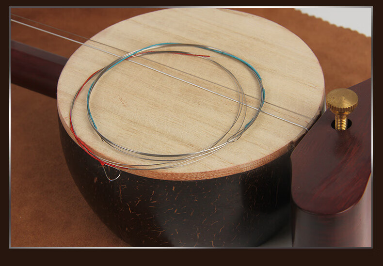 珍音坊专业演奏板胡弦秦腔豫剧歌剧板胡琴弦剧团乐队演奏琴弦豫剧板胡