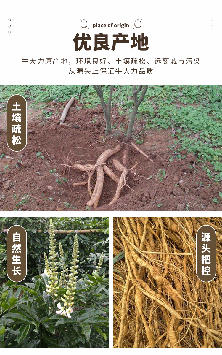 野生牛大力干货中药材特级粉质牛大力根酒煲汤料 500克【图片 价格