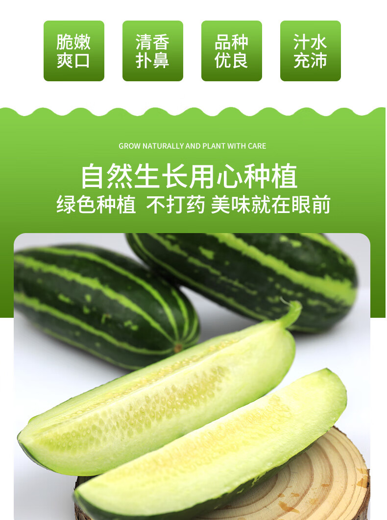 5斤 【防冻装】青龙菜瓜【图片 价格 品牌 报价】-京东