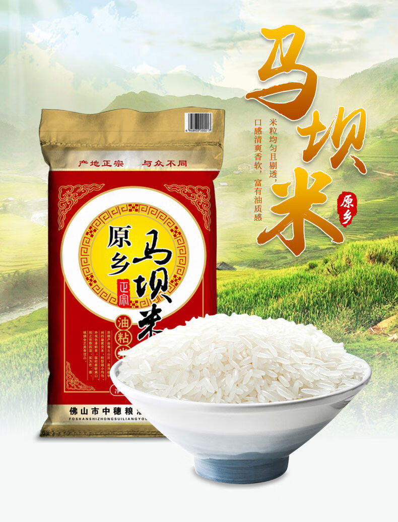 凯偲洽 油粘米马原乡马坝米10斤装香软油粘米南方长粒大米2021年新米