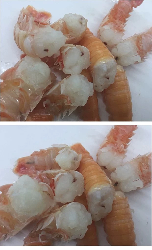 海鳌虾尾鲜海冷冻铁甲蟹尾新鲜海鲜水产深海捕捞顺风 800g