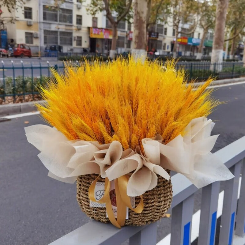 7款大麦花束【图片 价格 品牌 报价