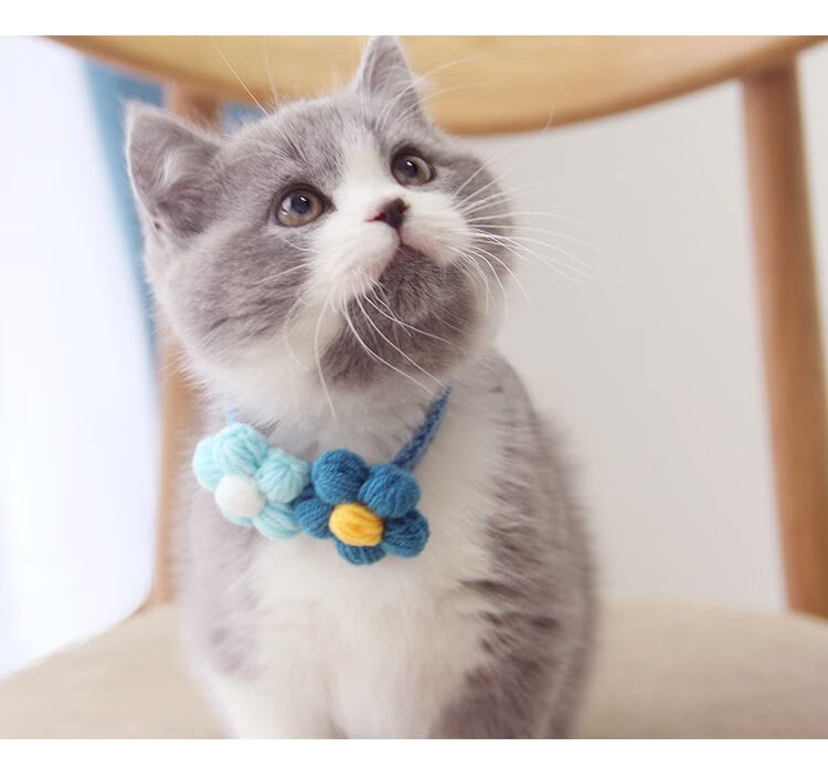 猫咪项链颈圈手工编织宠物项圈毛线针织猫咪配饰蝴蝶结无声铃铛项链
